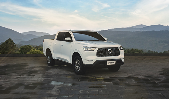 Camionetas doble cabina: tipos de motores 